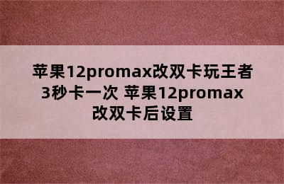 苹果12promax改双卡玩王者3秒卡一次 苹果12promax改双卡后设置